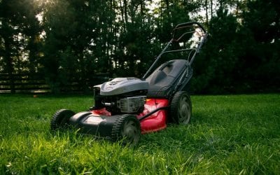 Maintenance for a Healthy Summer Lawn