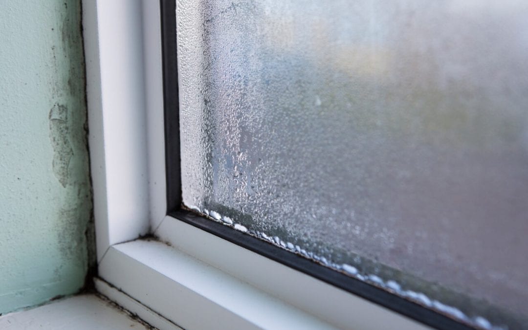 signs of mold in the home include condensation on windows